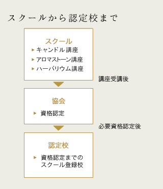 スクールから認定校まで